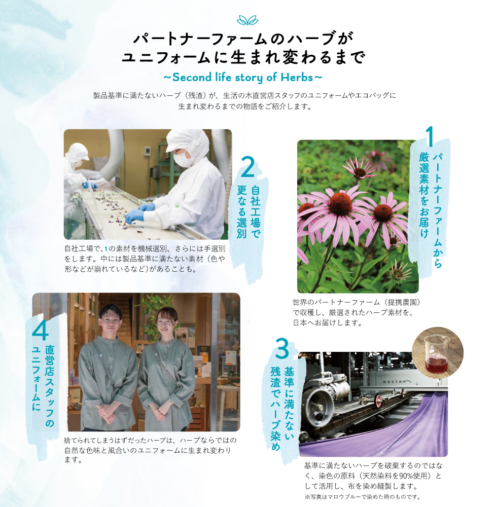 パートナーファームのハーブがユニフォームに生まれ変わるまで