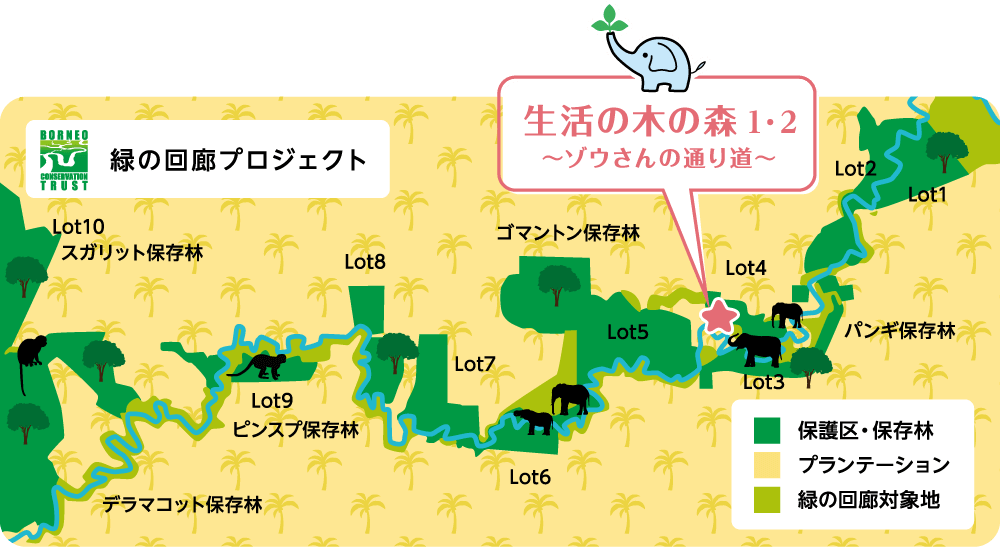 イラスト：緑の回廊プロジェクト
