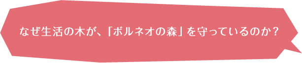 なぜ生活の木が、「ボルネオの森」を守っているのか？