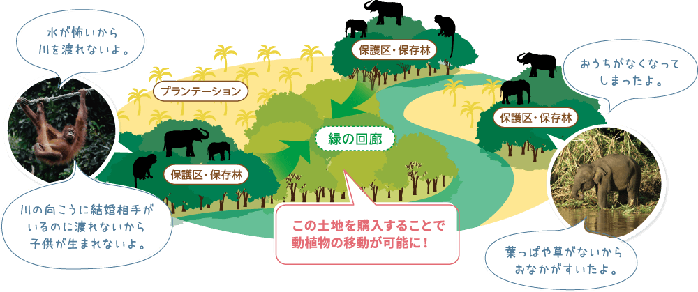イラスト：この土地を購入することで動植物の移動が可能に！