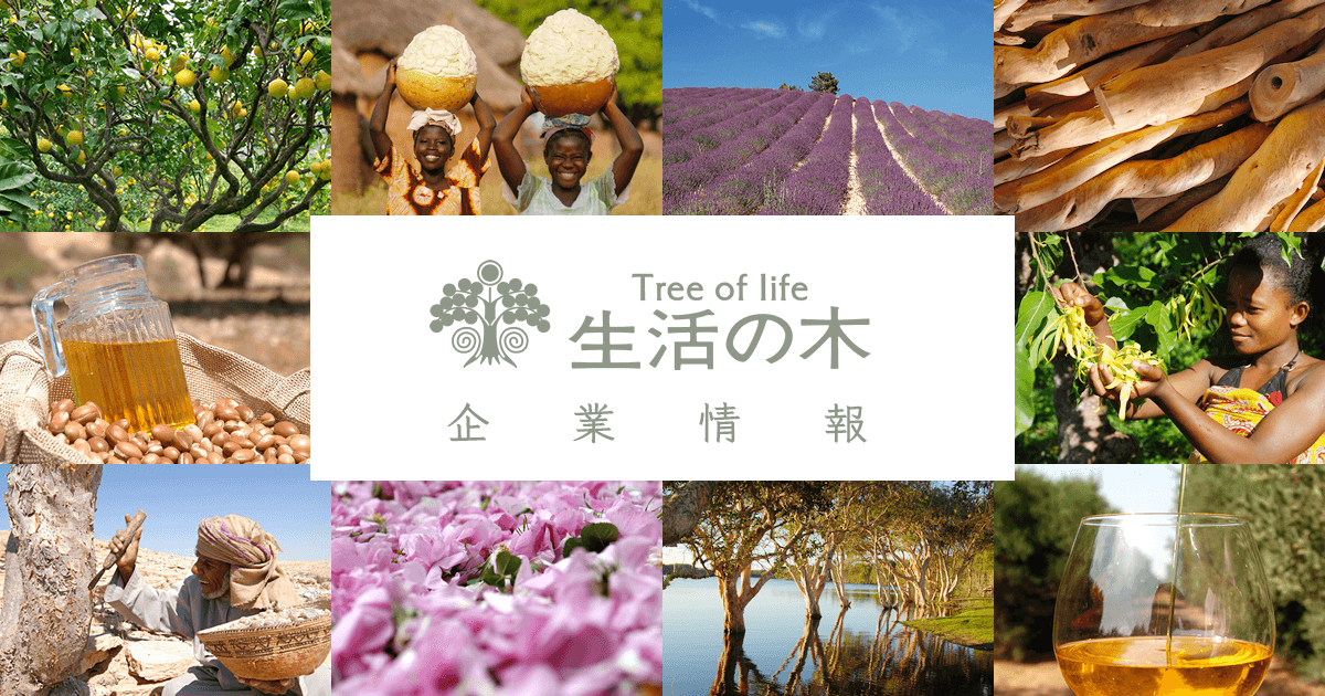 株式会社生活の木