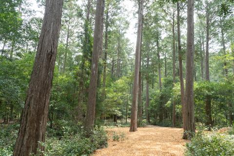 日本（三重）のパートナーファーム