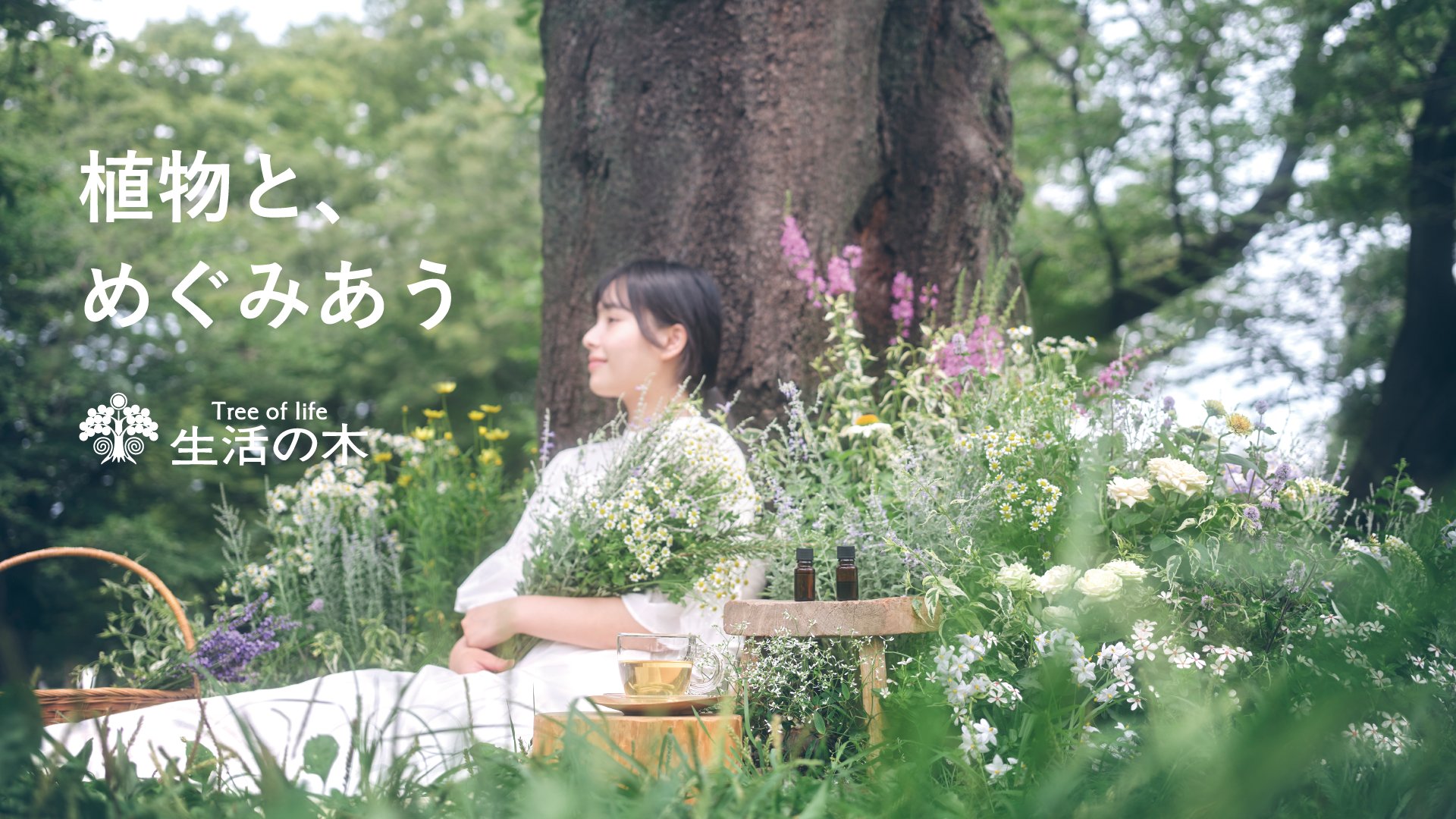 植物と、めぐみあう。木々に囲まれた庭で、ハーブを腕に抱えて微笑む女性。生活の木のブランドロゴ。